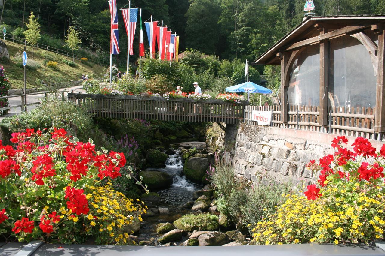 Gaestehaus Zur Lilie Triberg im Schwarzwald Екстериор снимка