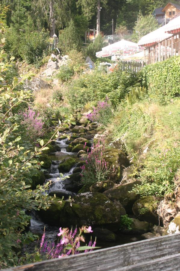 Gaestehaus Zur Lilie Triberg im Schwarzwald Екстериор снимка
