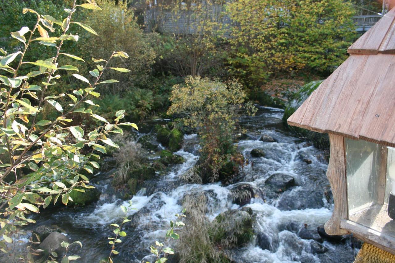 Gaestehaus Zur Lilie Triberg im Schwarzwald Екстериор снимка